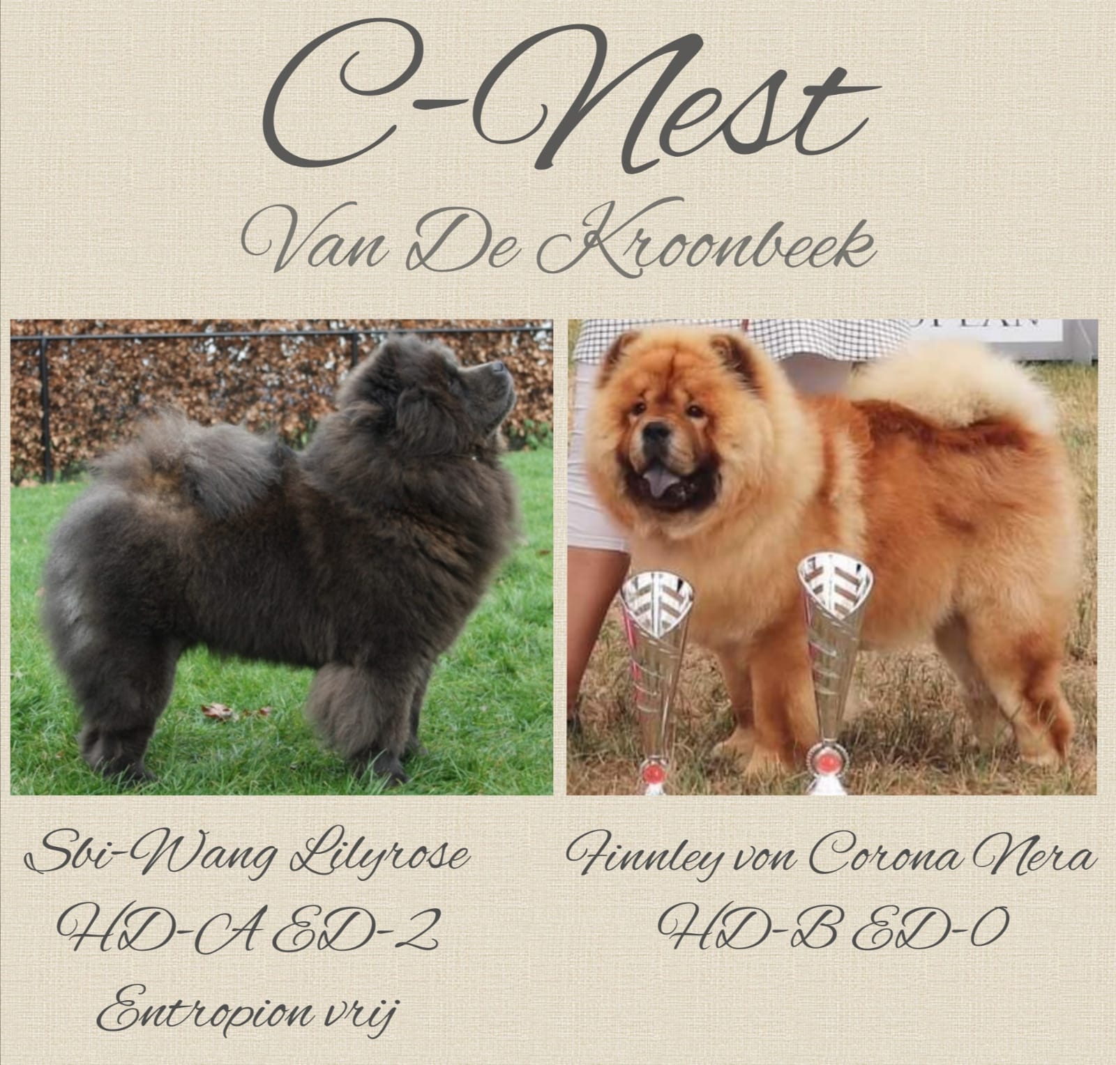 Van de Kroonbeek C-Nest Van de Kroonbeek C-Nest