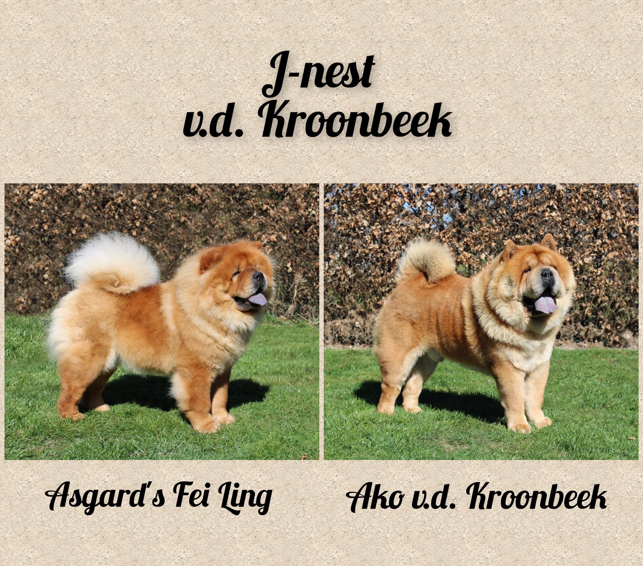 Van de Kroonbeek J-Nest